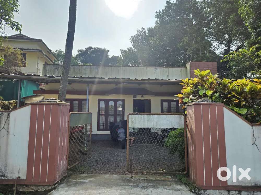 7 cent Plot with House ( URGENT SALE ‼️)