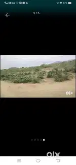Agricultural plot for sale on Benama Patta