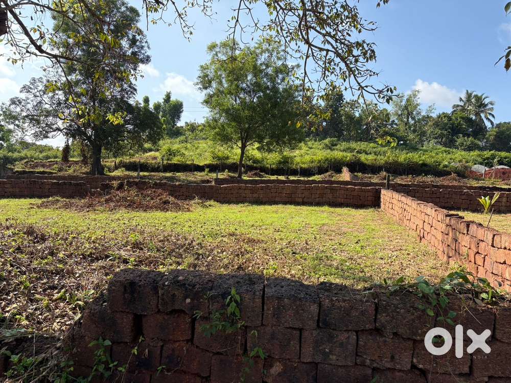 300sq and 500 sq for sale(all papers cleared)