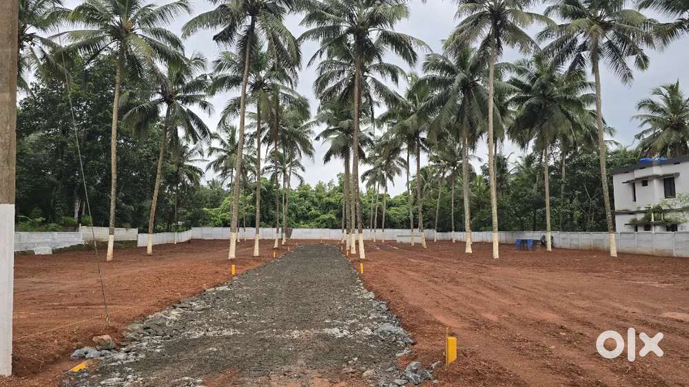 Mundur House Plots 5,6,10