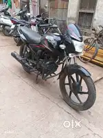 Cb shine model 2014 (MH 41)
