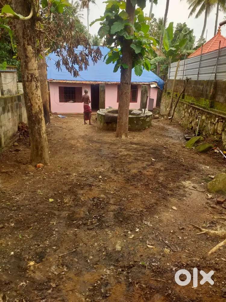 7 Cents with House & Teak Trees at Kudappanakunnu, Trivandrum