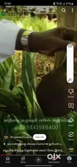Looking for tamil style cook men.