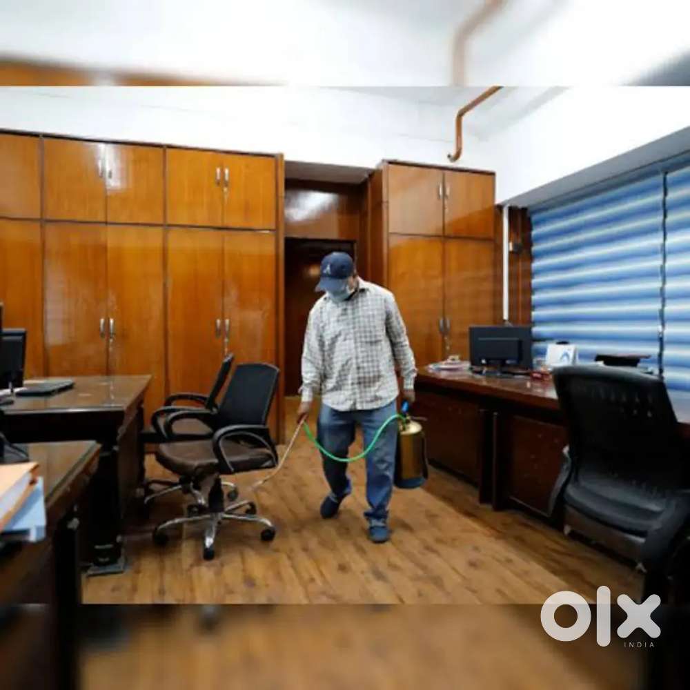 Required female office executive.