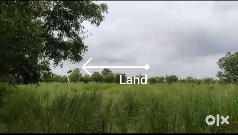 2 Bigha Land for Sale in Bolpur