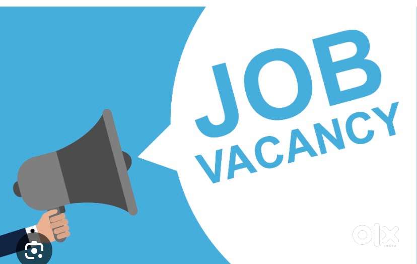 Wanted a girl for cloth shop