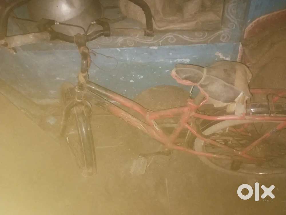 Hercules mini cycle
