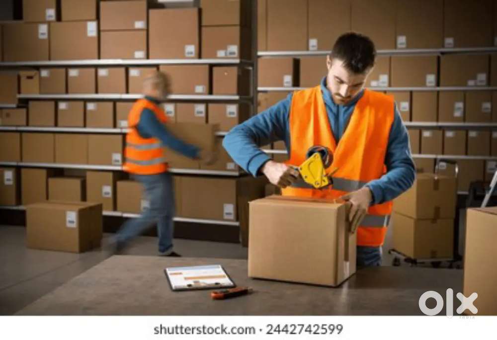 Picker and packer job//Dhana