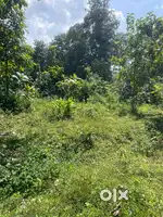 Plot for sale