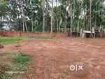 18.75 Cent Commercial/Residential Land For Sale at Azhikode,Kannur(nz)