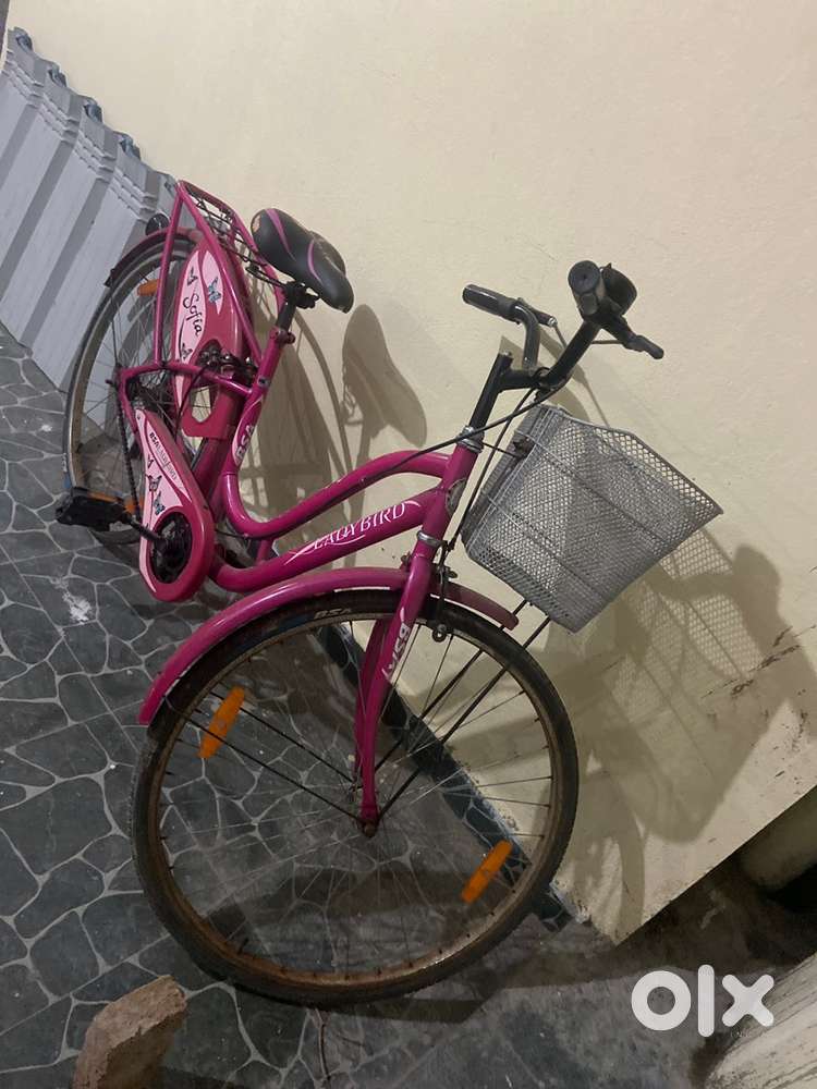 Lady bird cicycle