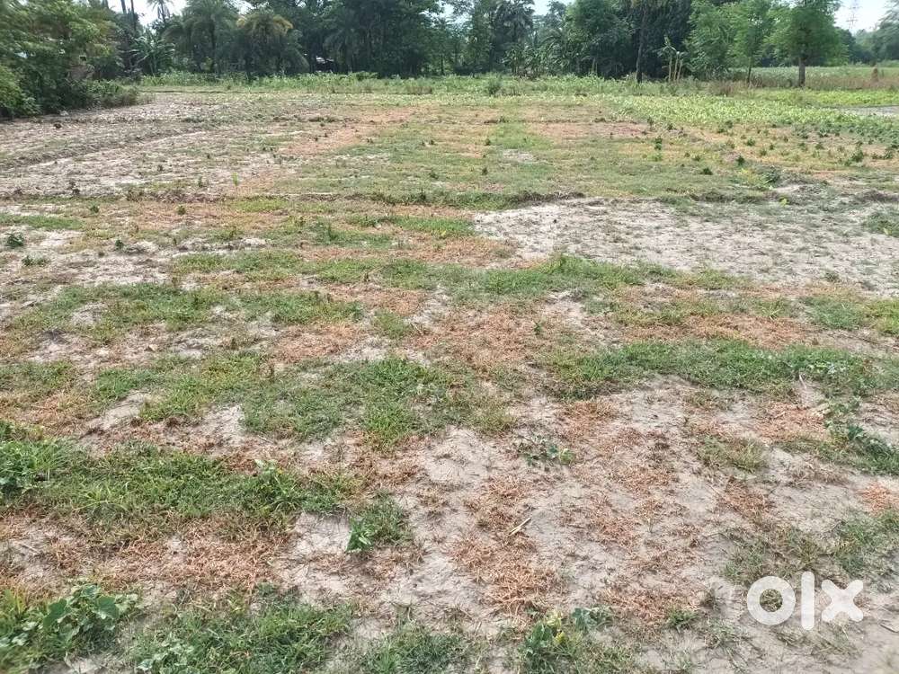 Land for sales