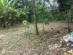 Plot Suitable for residential and agriculture purpose