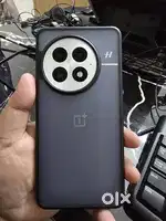 OnePlus 13 / 512 gb
