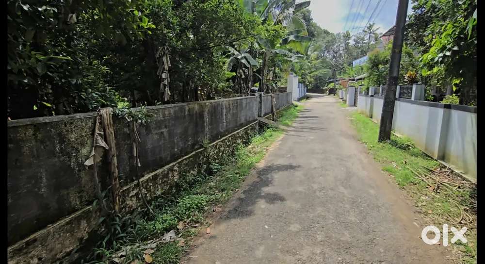 Nedumbassery near airport road 15 cent land for sale immediately