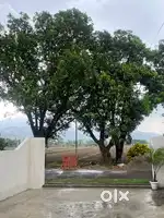 Sabse Sasti property in golapar 2000-8000sq ft size with 10 feet road.