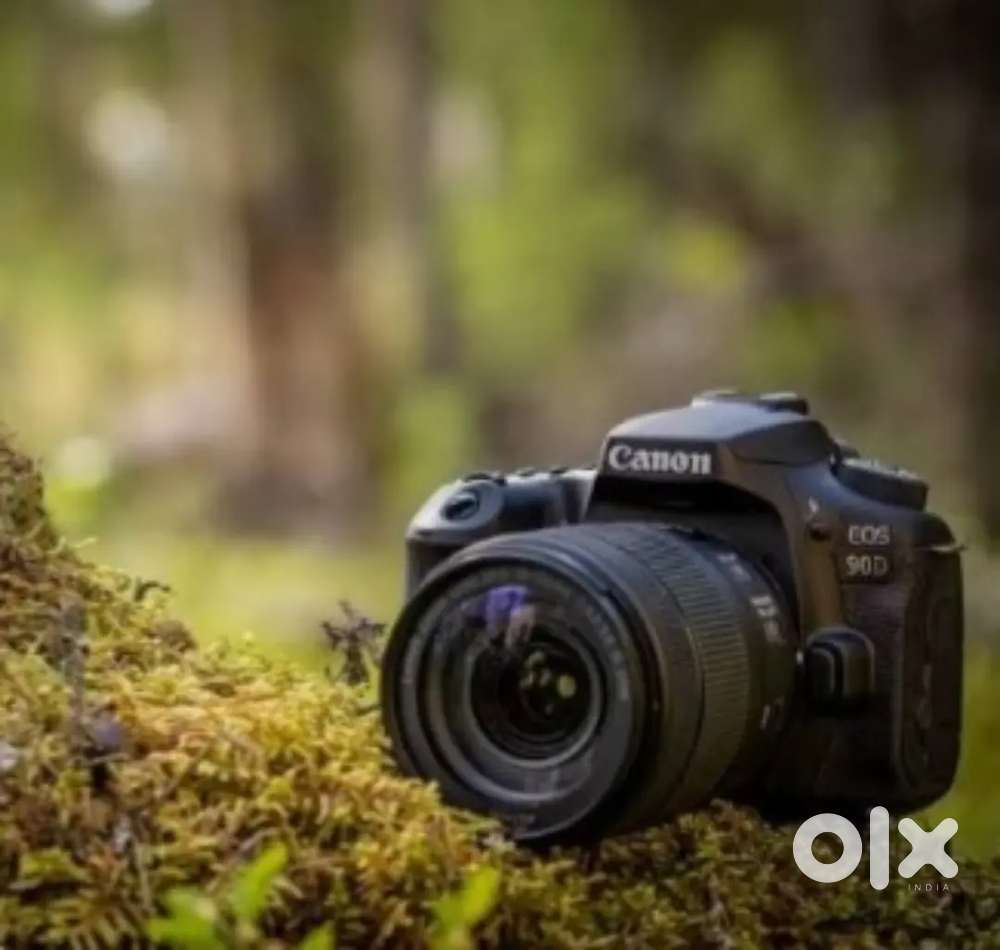 Wanted video editor