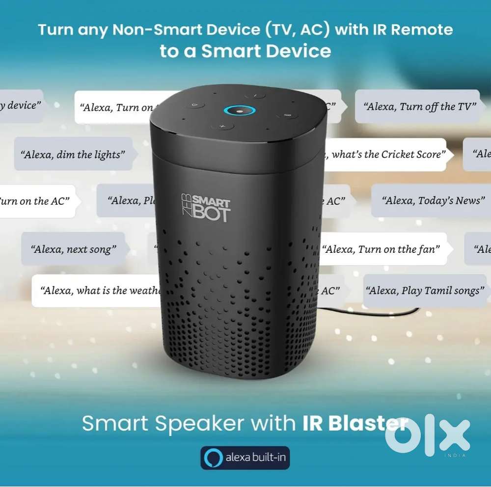 Portable alexa