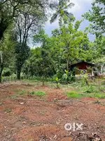 11cent Land for sale near Kolazhy,Thrissur very close to bus root