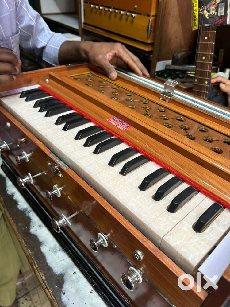 Harmonium indian ekdam new!