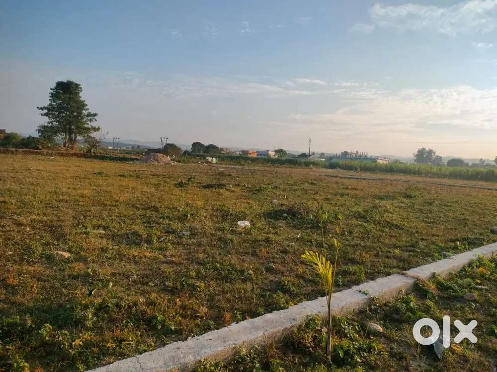 Best Gated Society In Naya Gao Shimla Bypass Road