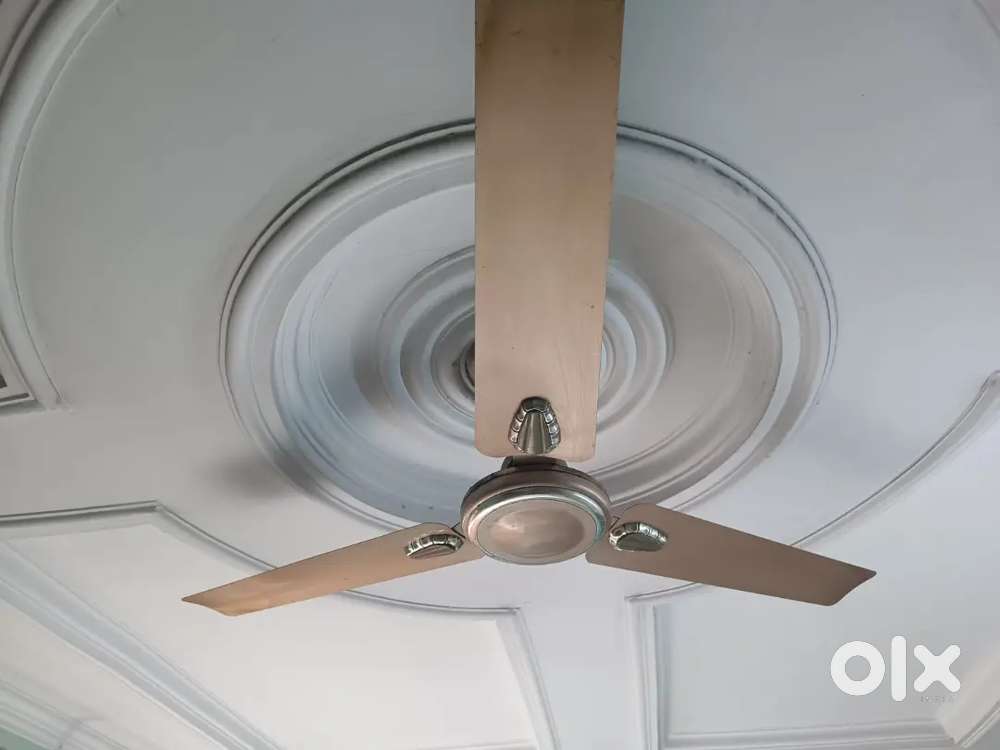 Ceiling Fan Remi 1200mm