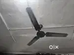 Fridge, AC, 3 fans, aquaguard