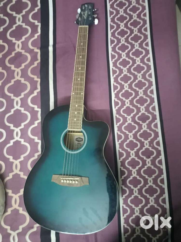 Ashton Guitar
