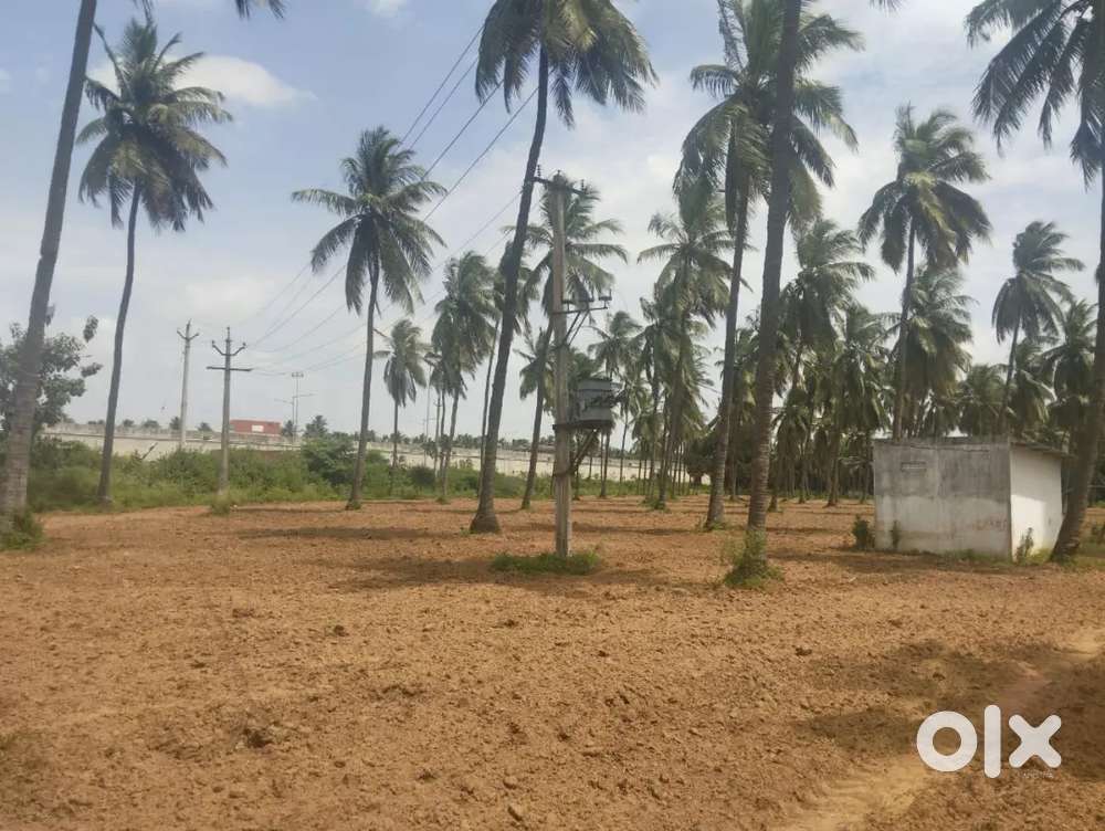 Agricultural land