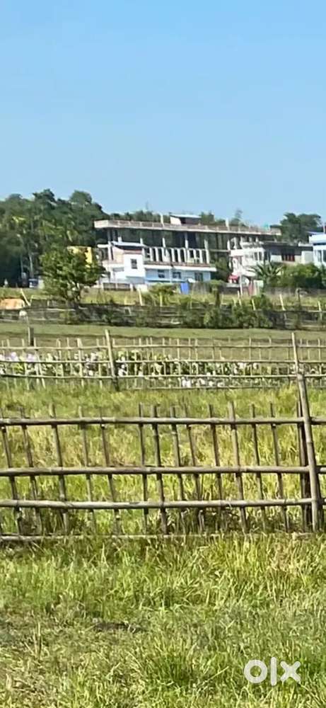 25Lesha  for sale immediately in Bongaigaon