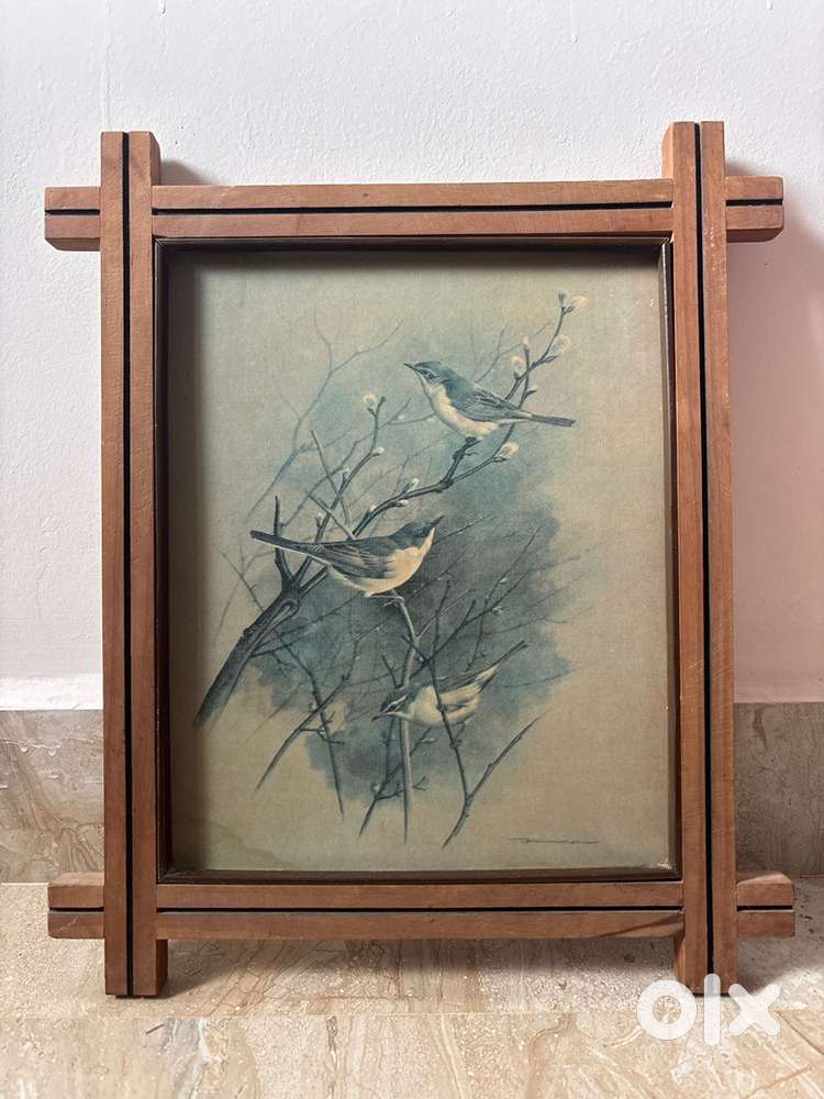 Bird frame