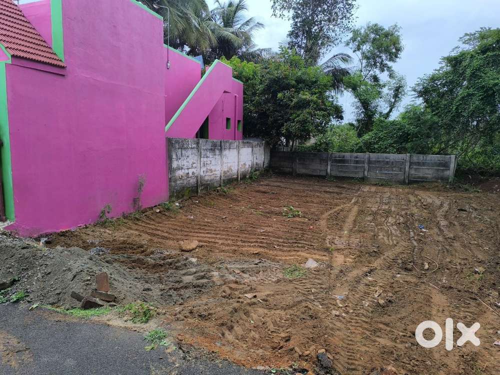 DTCP Plot for sale near koranattu karupur roundana