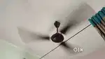 Celling fan