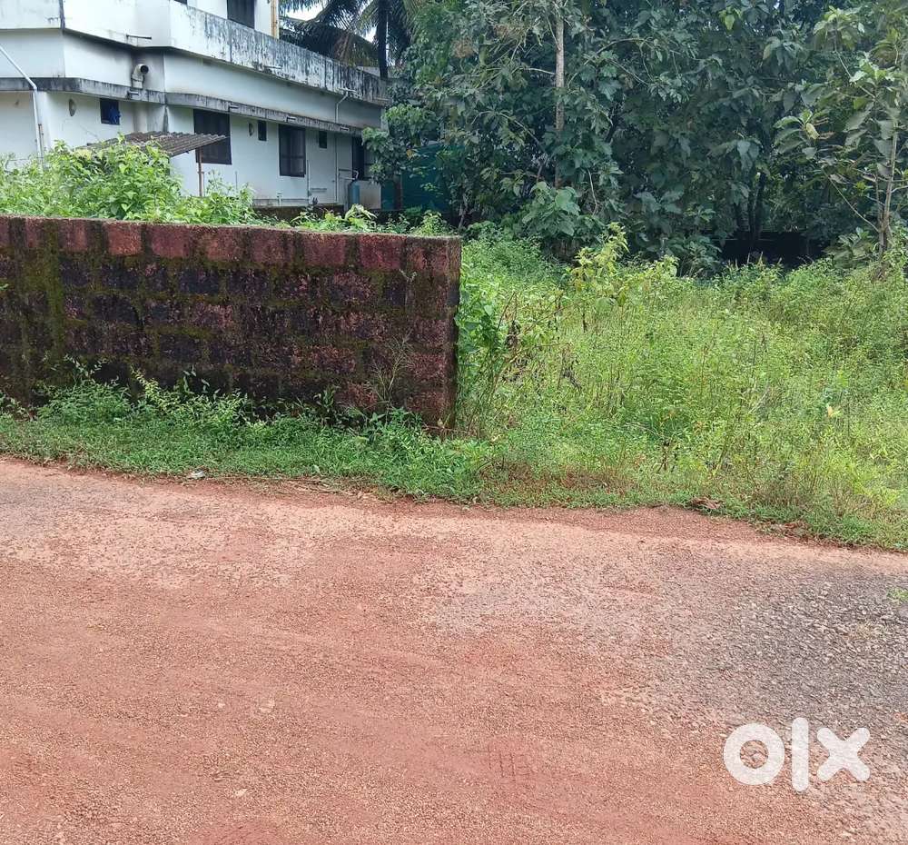 Bandhiyod adka 15 Cent