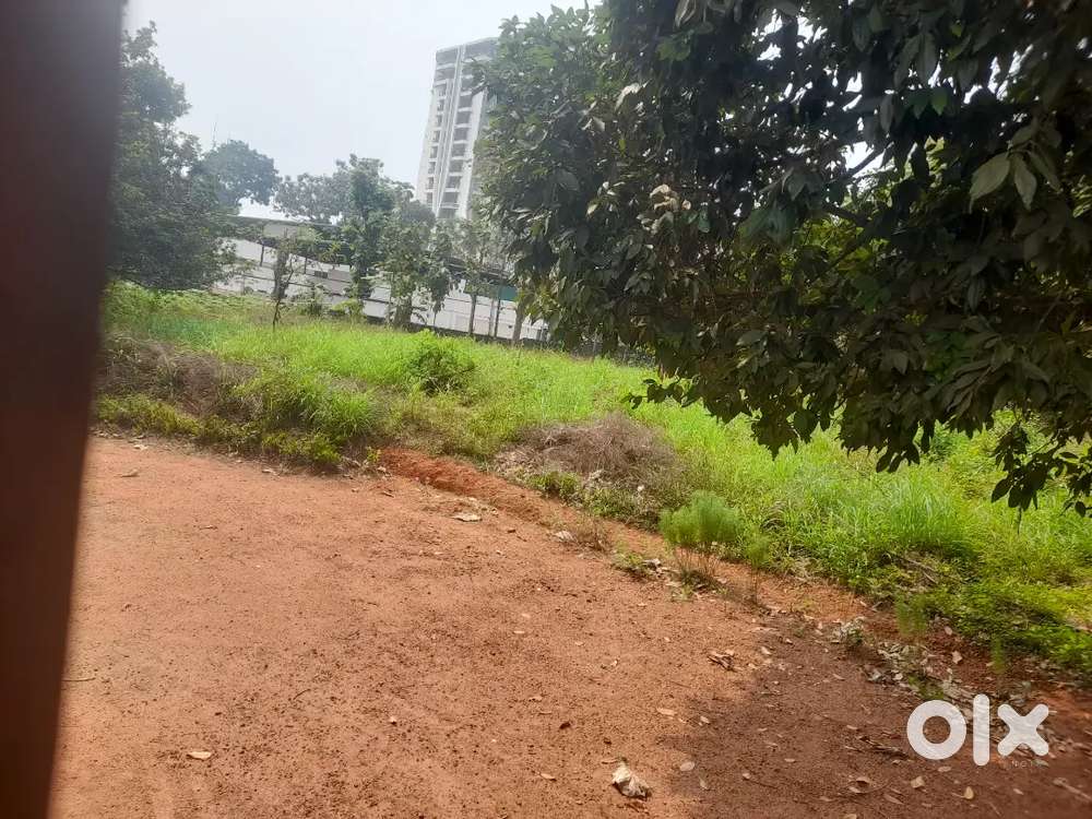 Edapally lulu unnichira main road frontage 72cent commercial sale