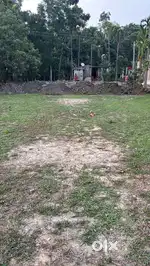 Land and Plots