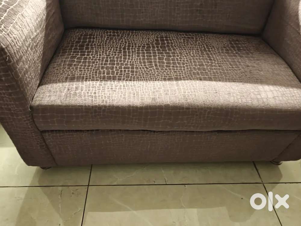 2 seater sofa and Centre table