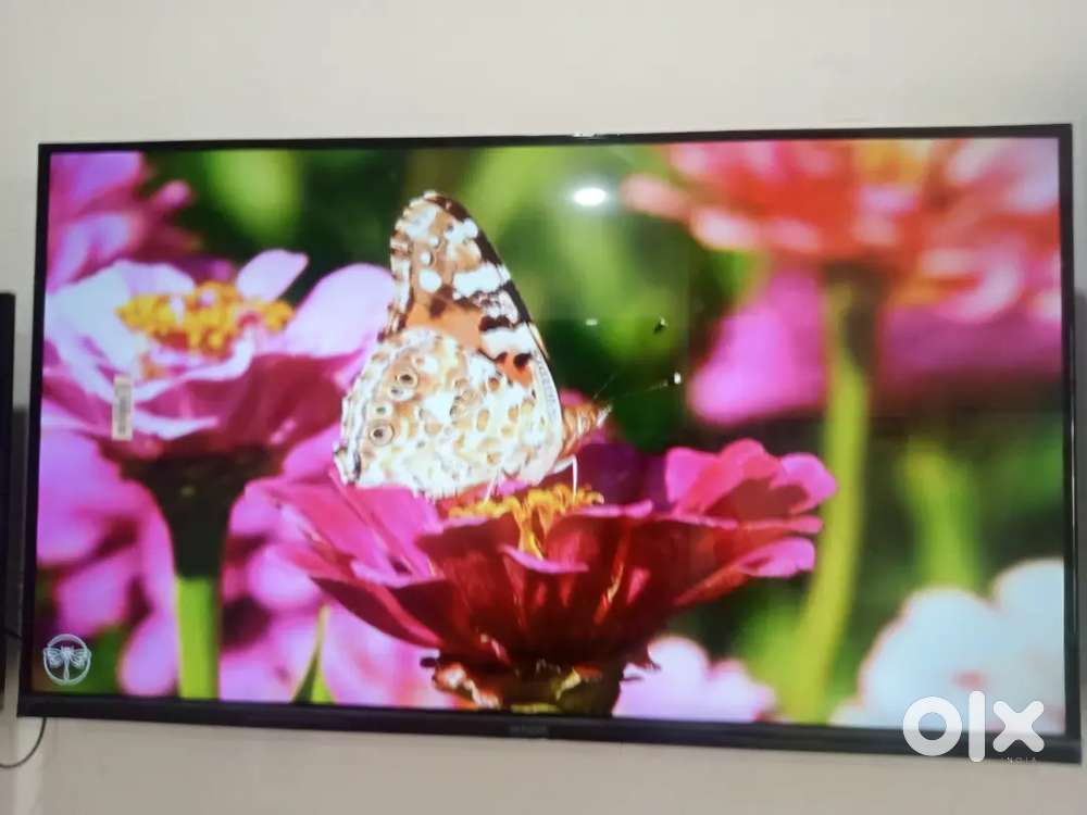 Wholesale price smartv LED for sale
