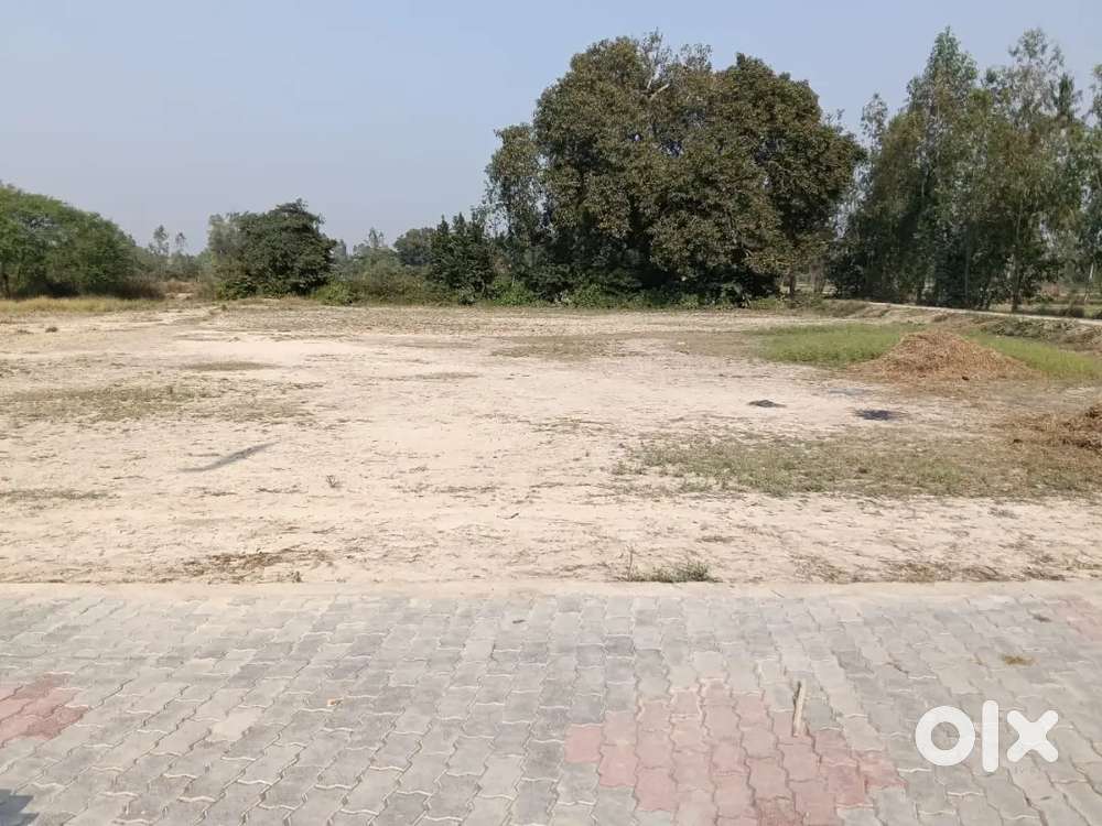 2 Bigha Agricultural Land sell in very Urgent