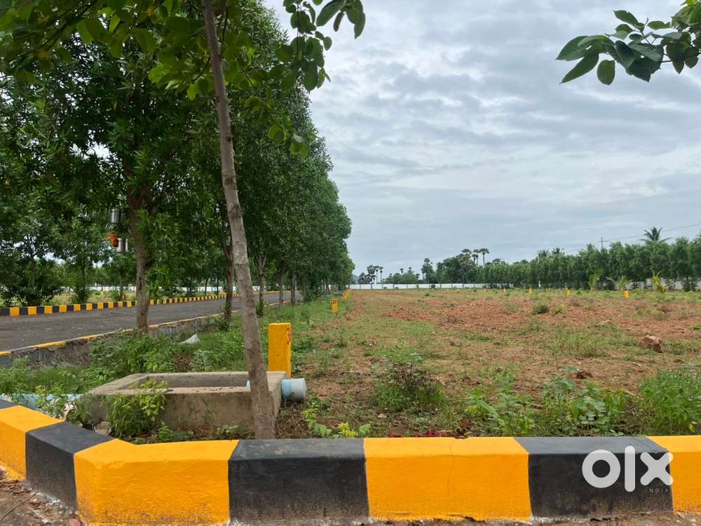 Bhogapuram VMRDA PLOTS
