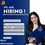Real estate advisor