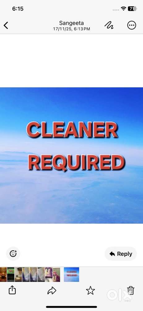 Cleaner required