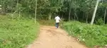 Paingottoor THODUPUZHA kaloor premium house plots
