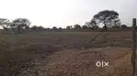 Agriculture Land in Kanharpuri Rajnandgaon