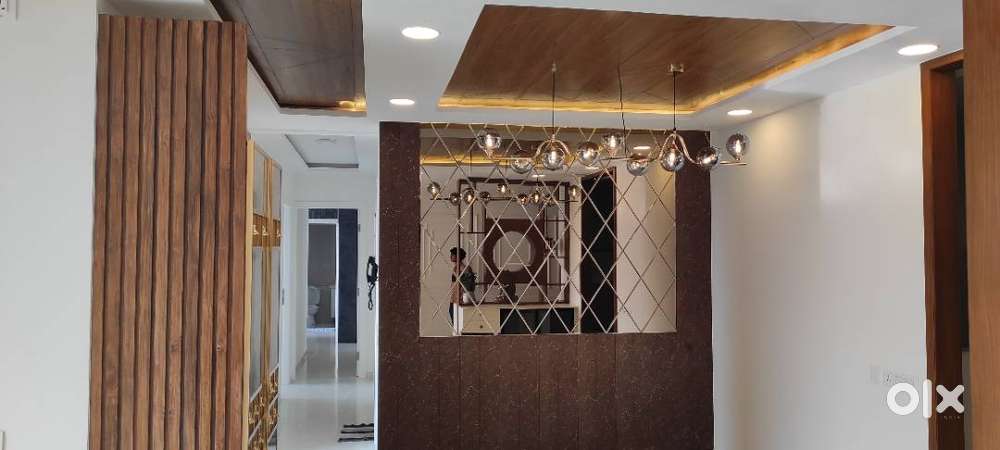 Senior Architect/Interior Designer