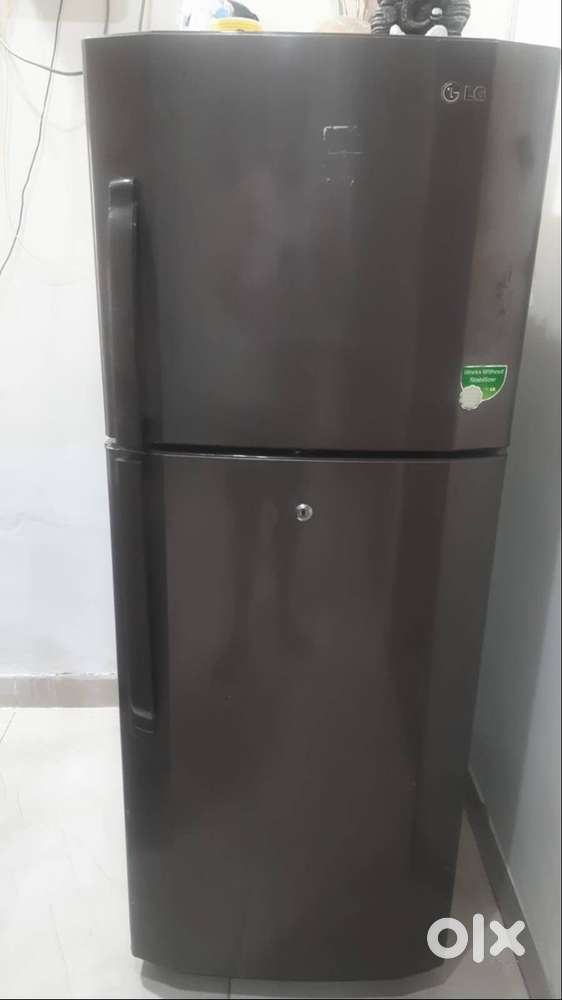 LG Double Door 240 Ltr Fridge