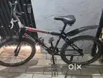 Polo gullas
