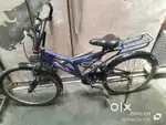Vintage neo series Passion bi cycle