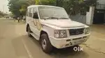 SUMO GOLD 2013 - MODEL