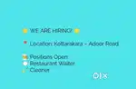 Restaurant Waiter & Cleaner